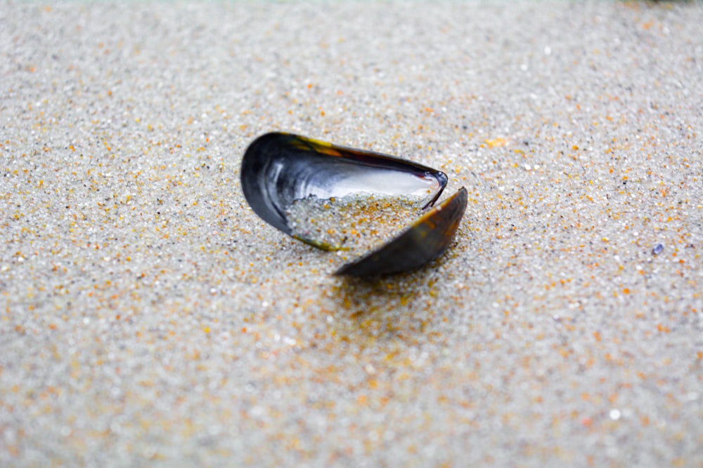 black and brown stone on white sand
