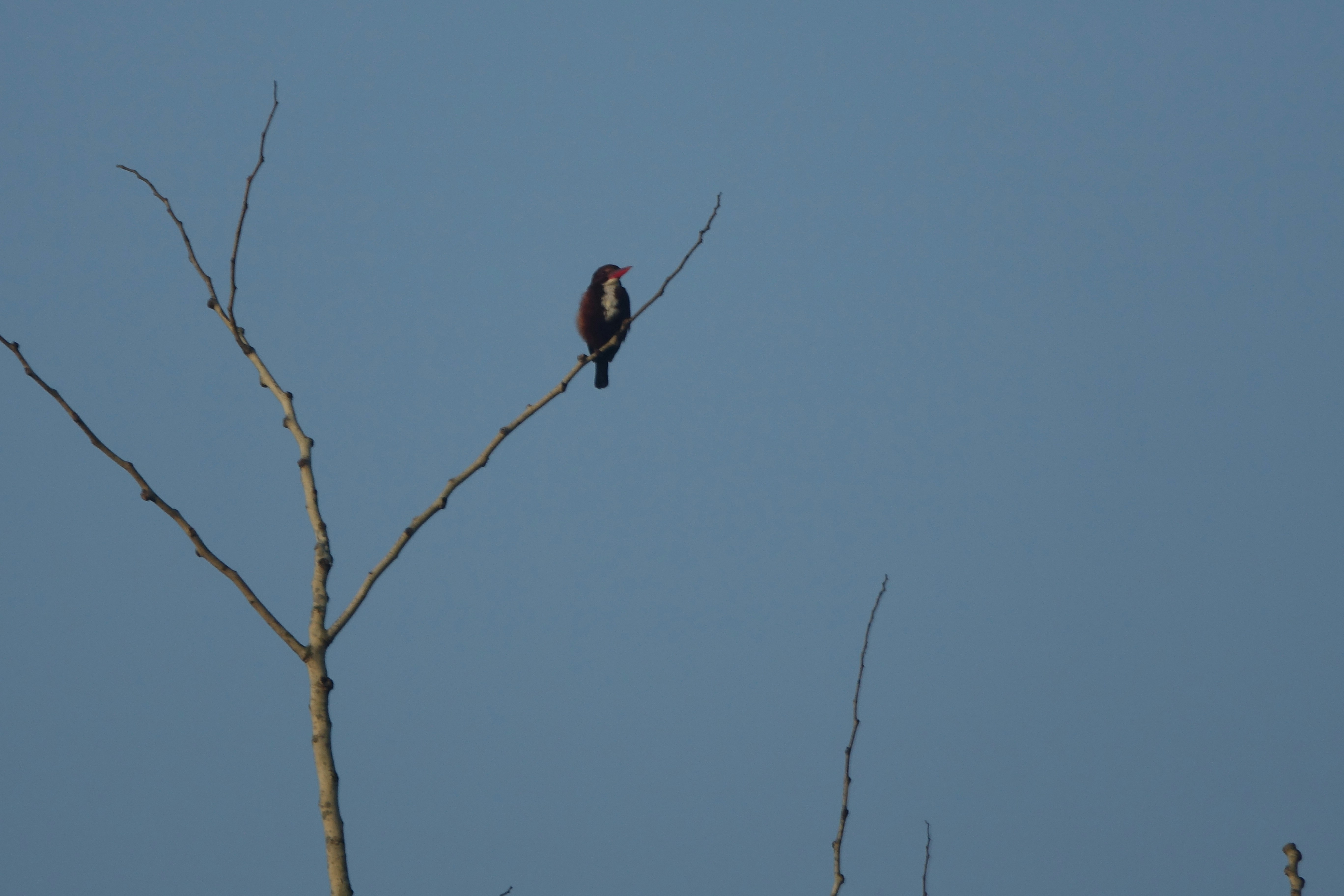 Photo by yashmuchhal