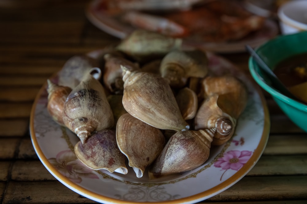 conchas marinas marrones y blancas en placa de cerámica azul y blanca