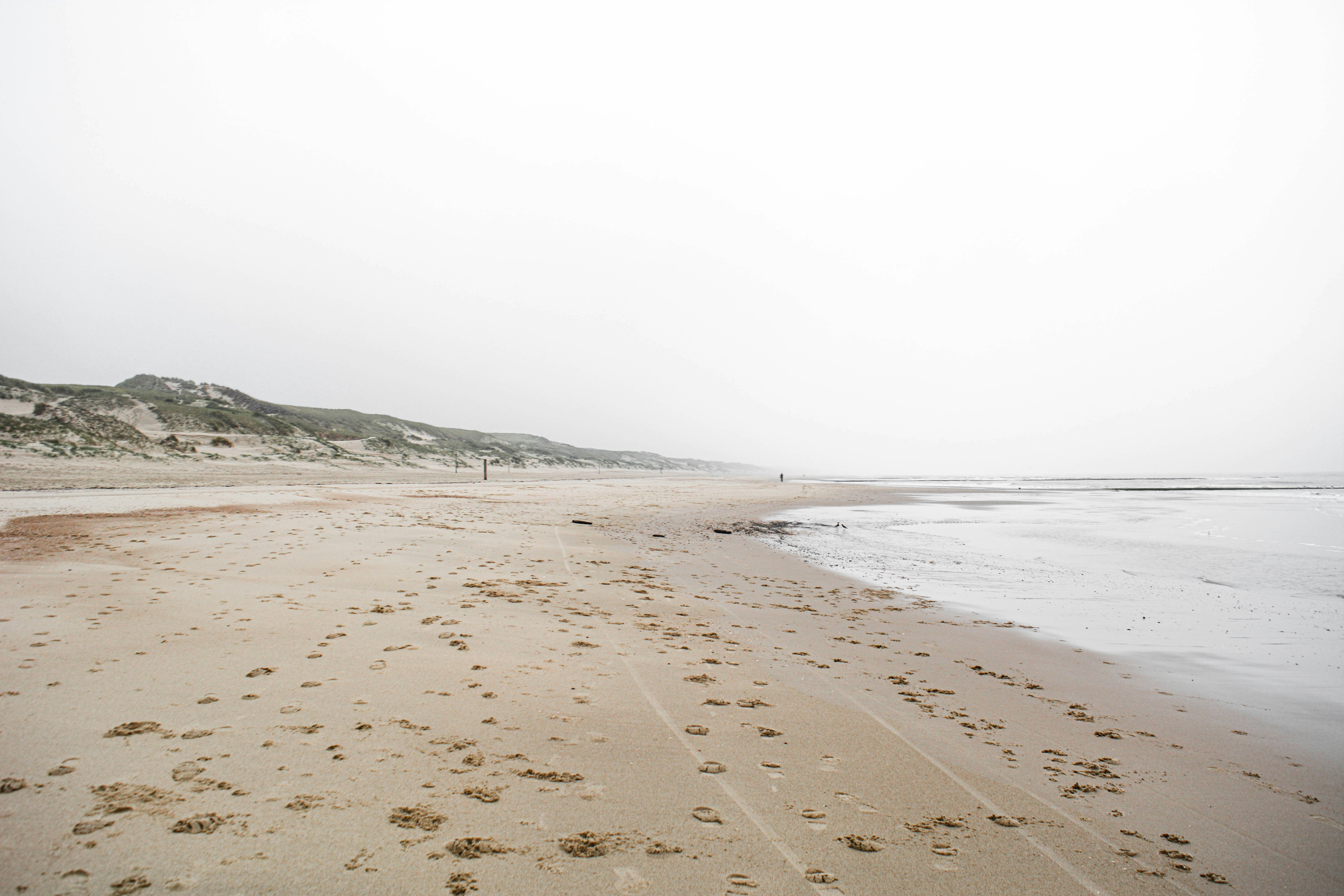 Photo by nienkeburgers