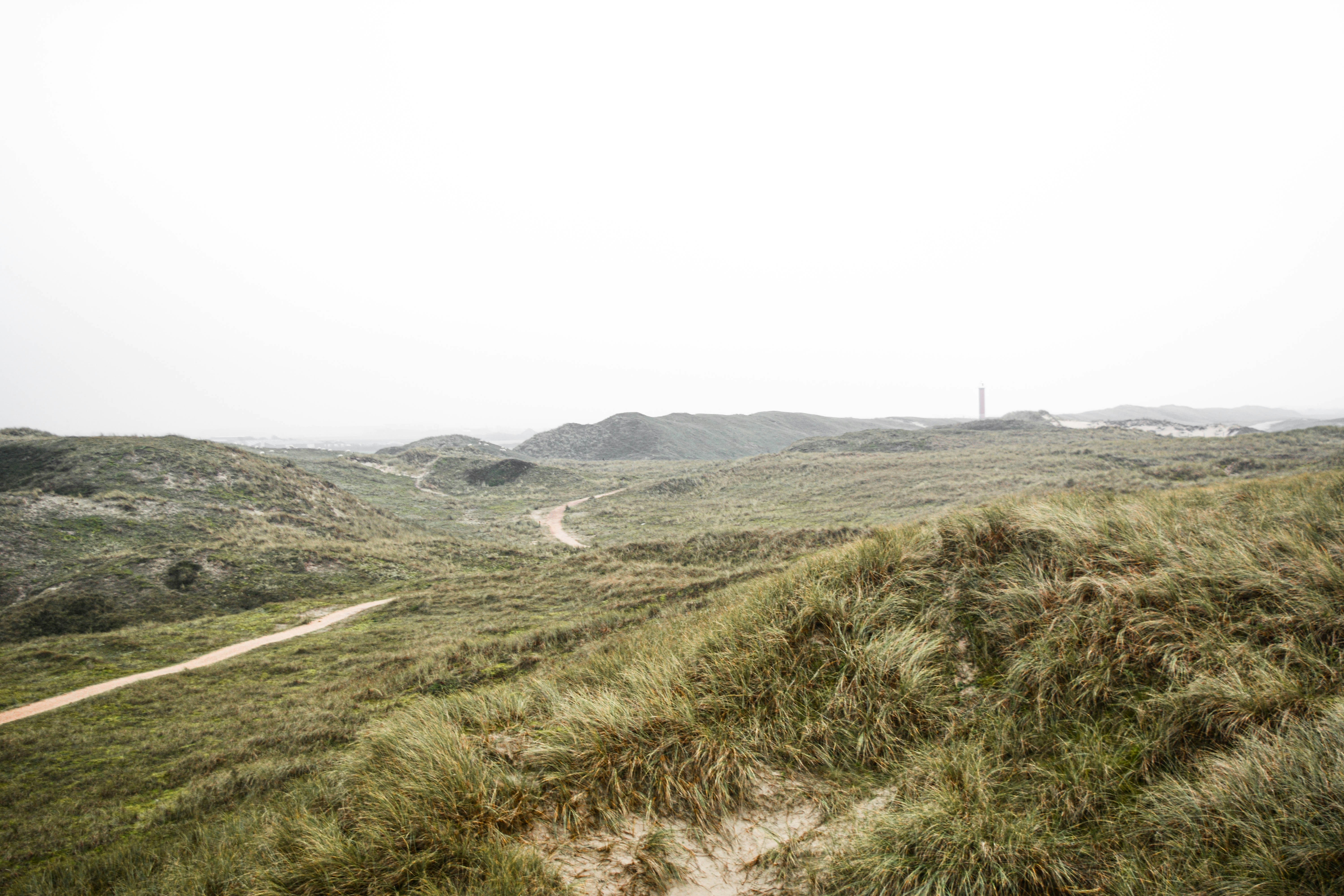 Photo by nienkeburgers