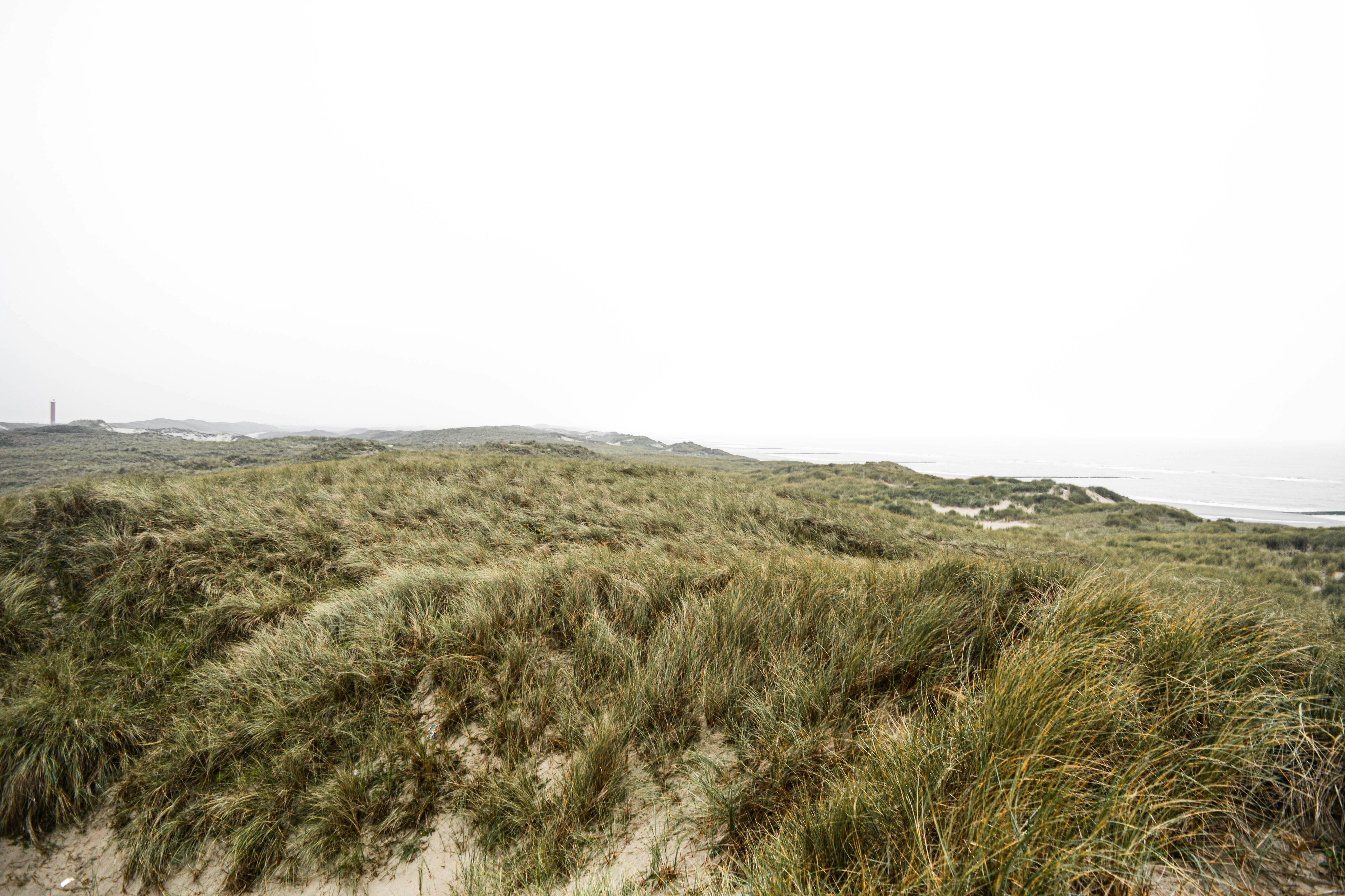 Photo by nienkeburgers