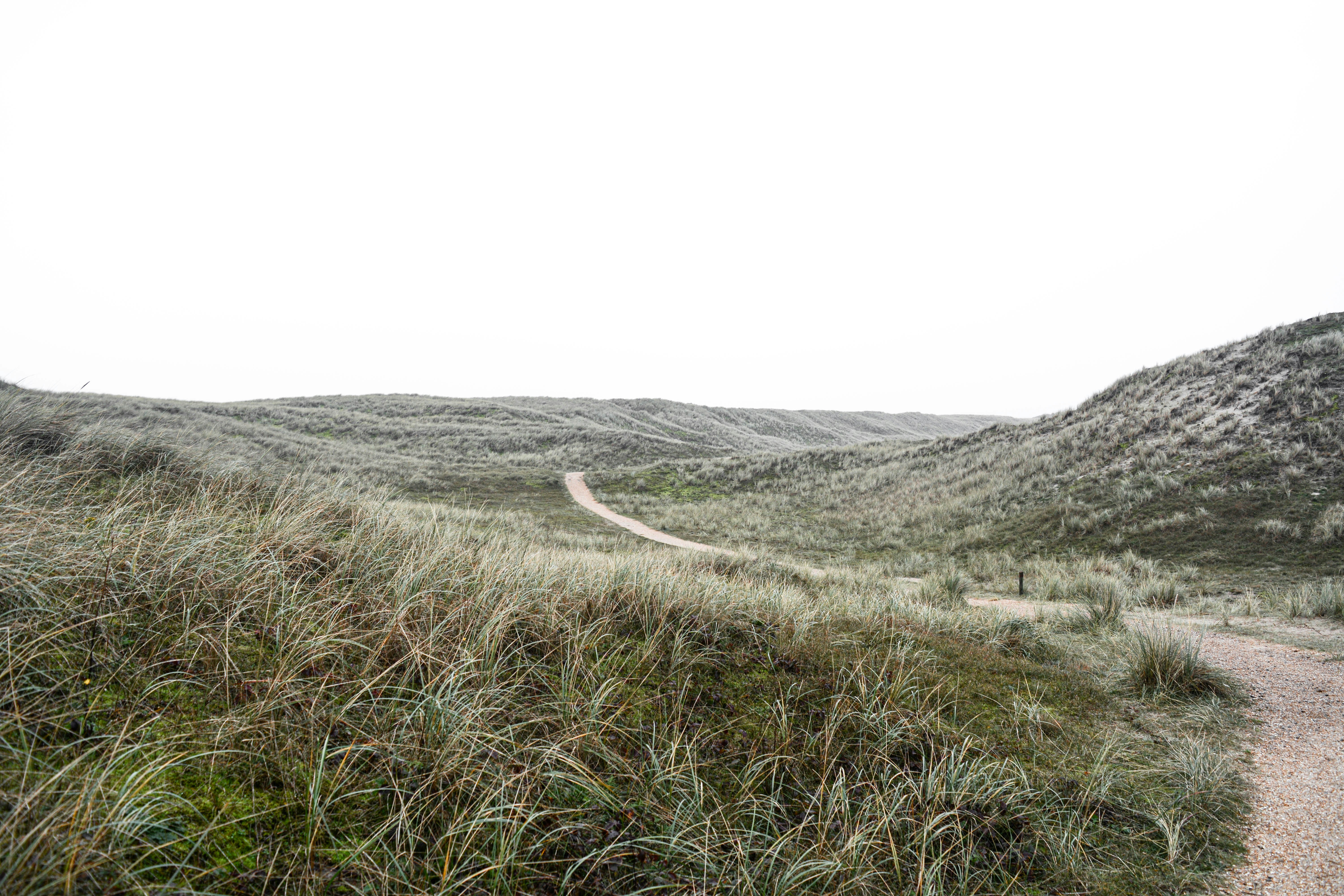 Photo by nienkeburgers