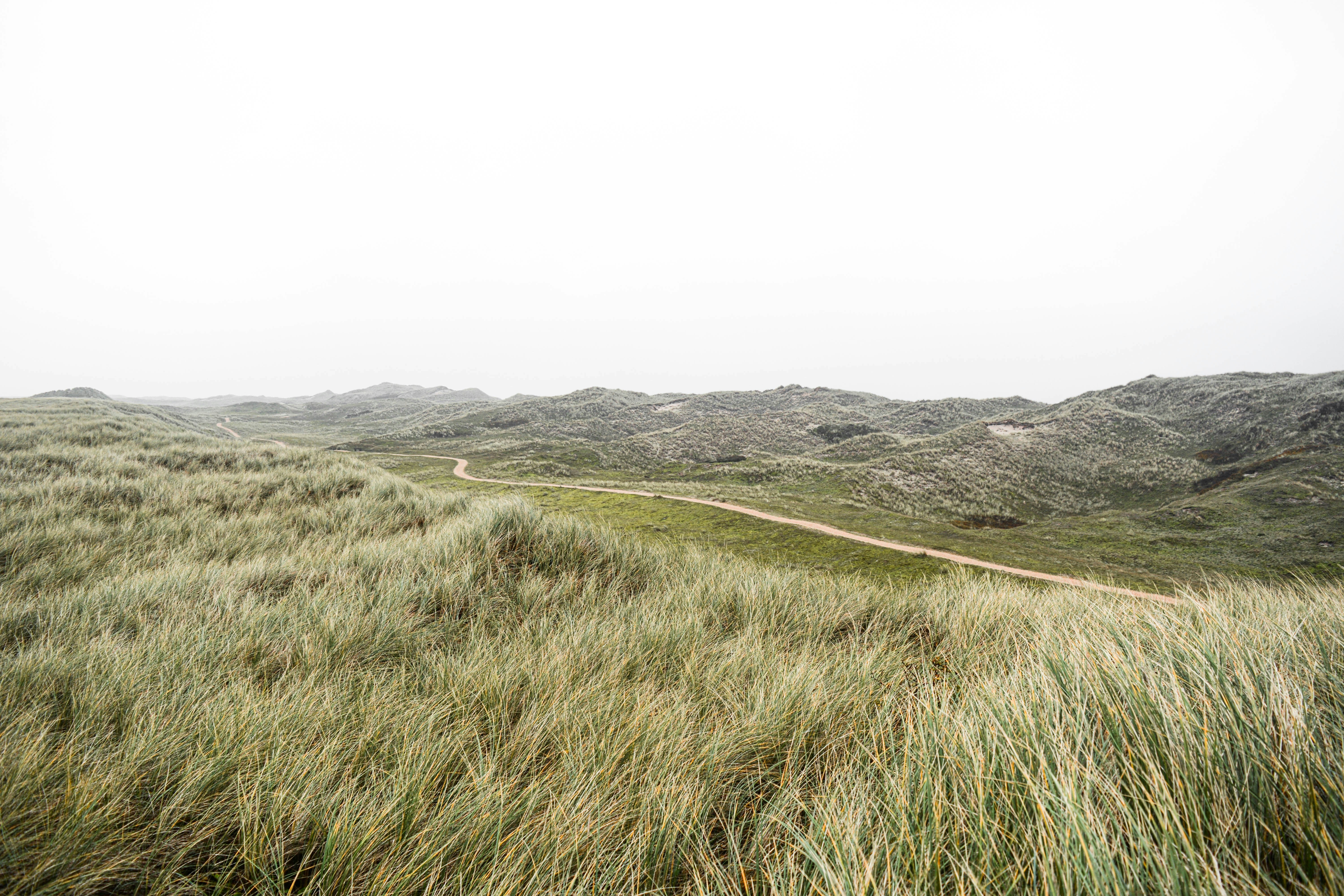 Photo by nienkeburgers