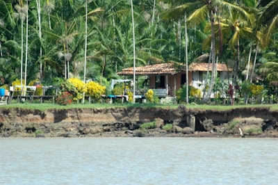 A small house with a tiled roof is nestled among tall palm trees and vibrant flowering plants. The house is situated near a body of water, with a grassy and slightly eroded shoreline. The lush greenery and colorful flowers create a tropical and serene atmosphere.