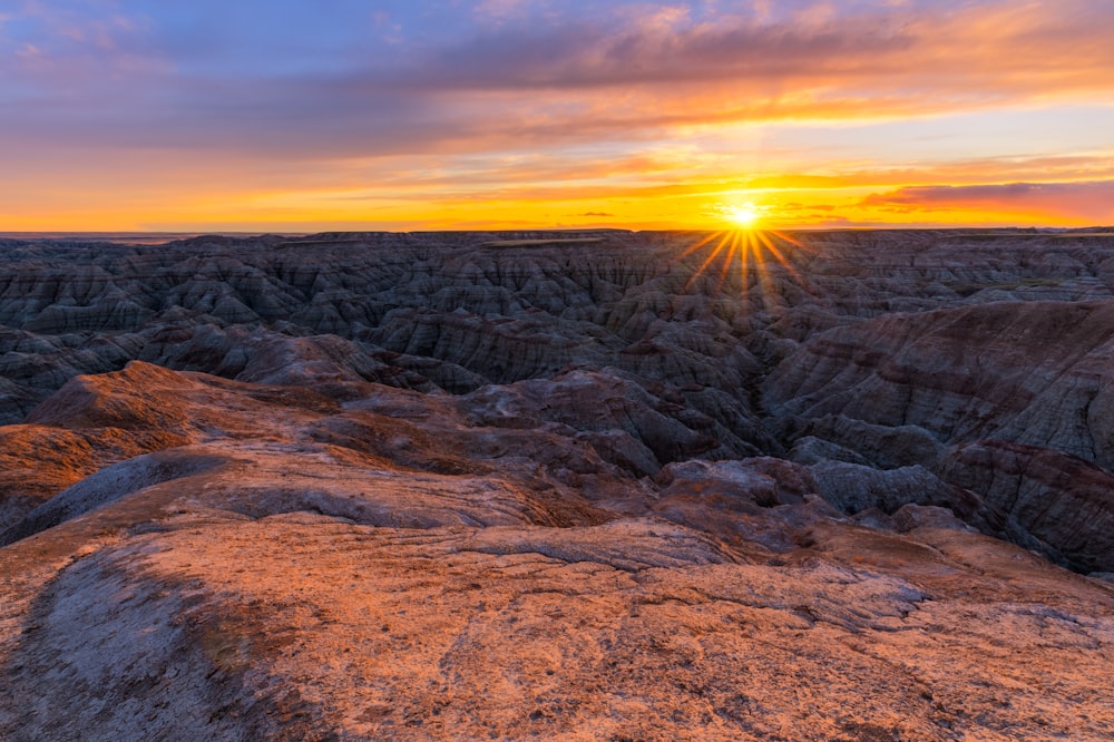 Brauner Rocky Mountain bei Sonnenuntergang