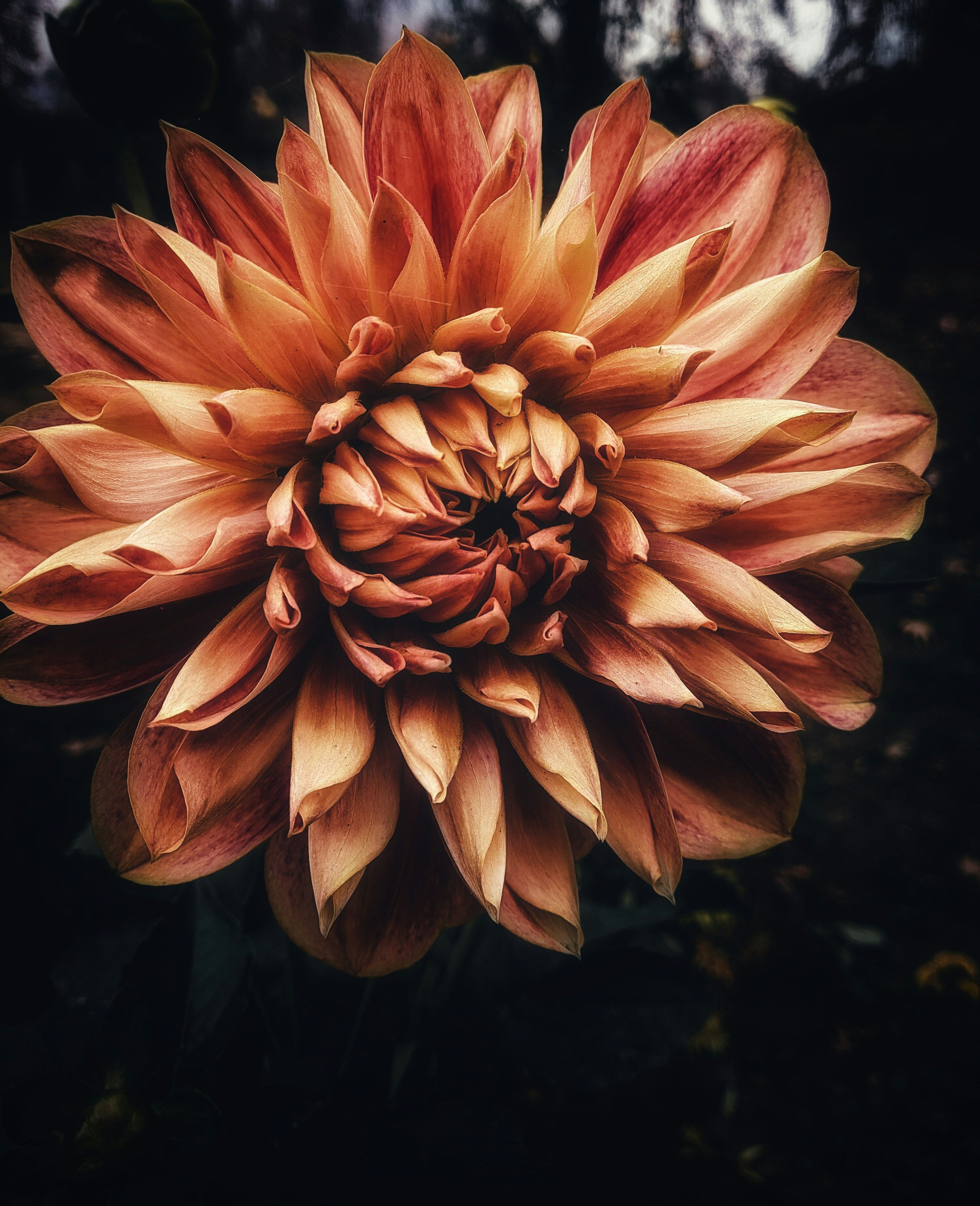 Photo by themirsuhail