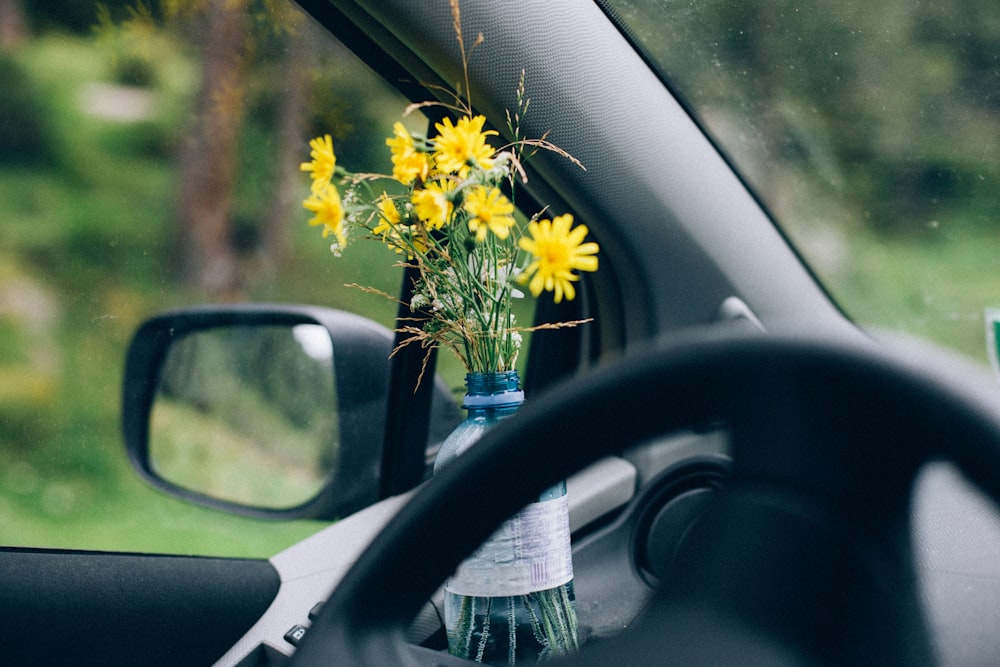 yellow flower in blue glass bottle on car side mirror