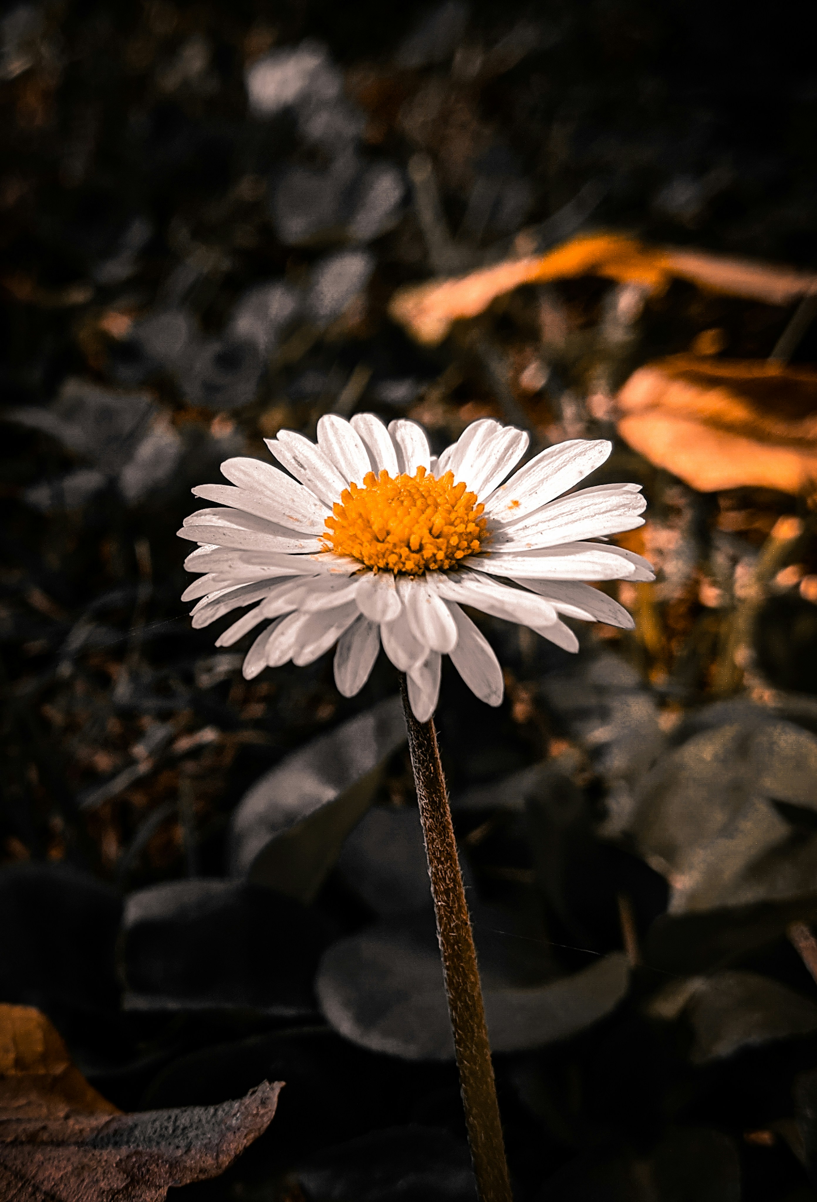 Photo by themirsuhail