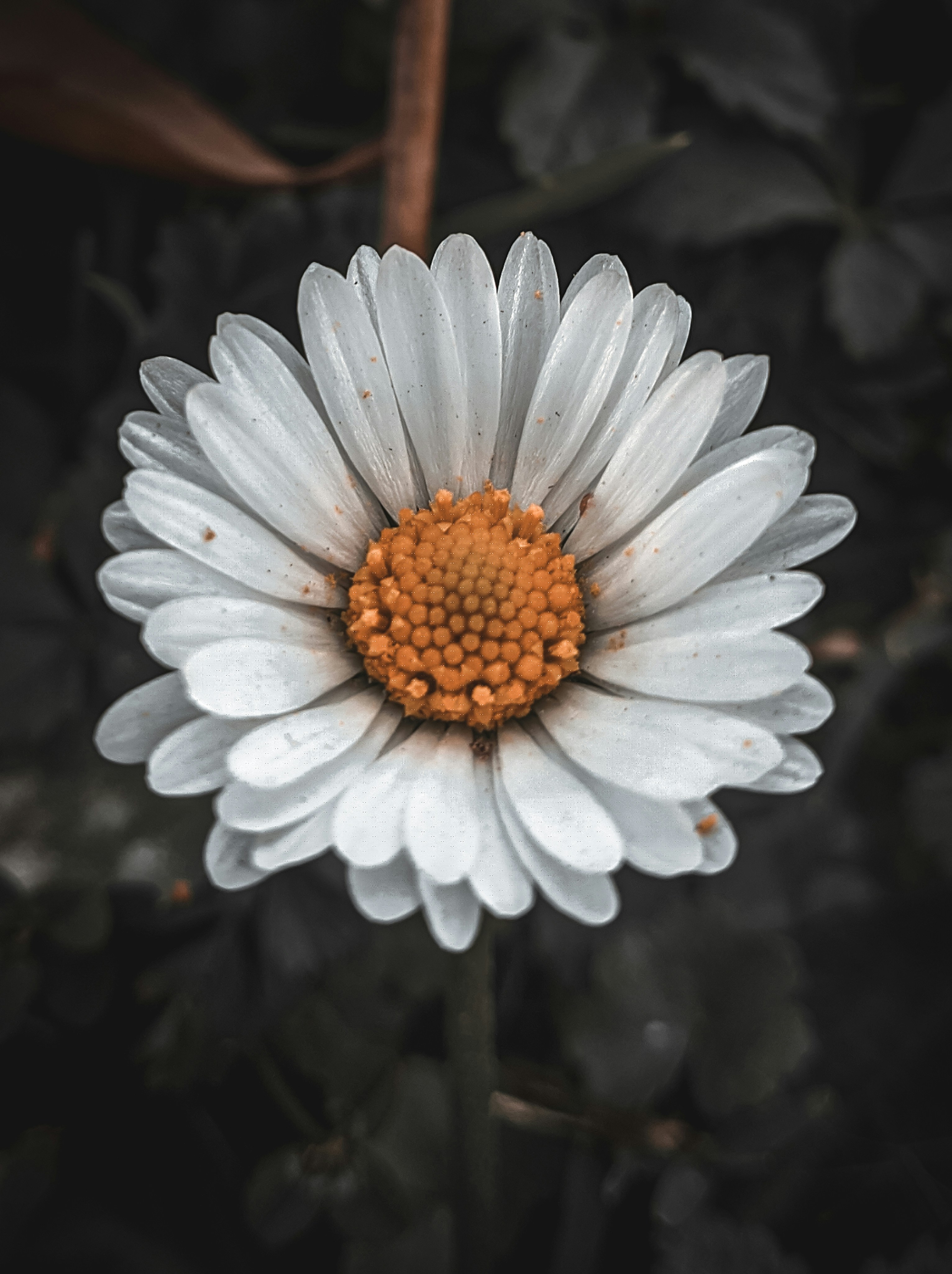 Photo by themirsuhail