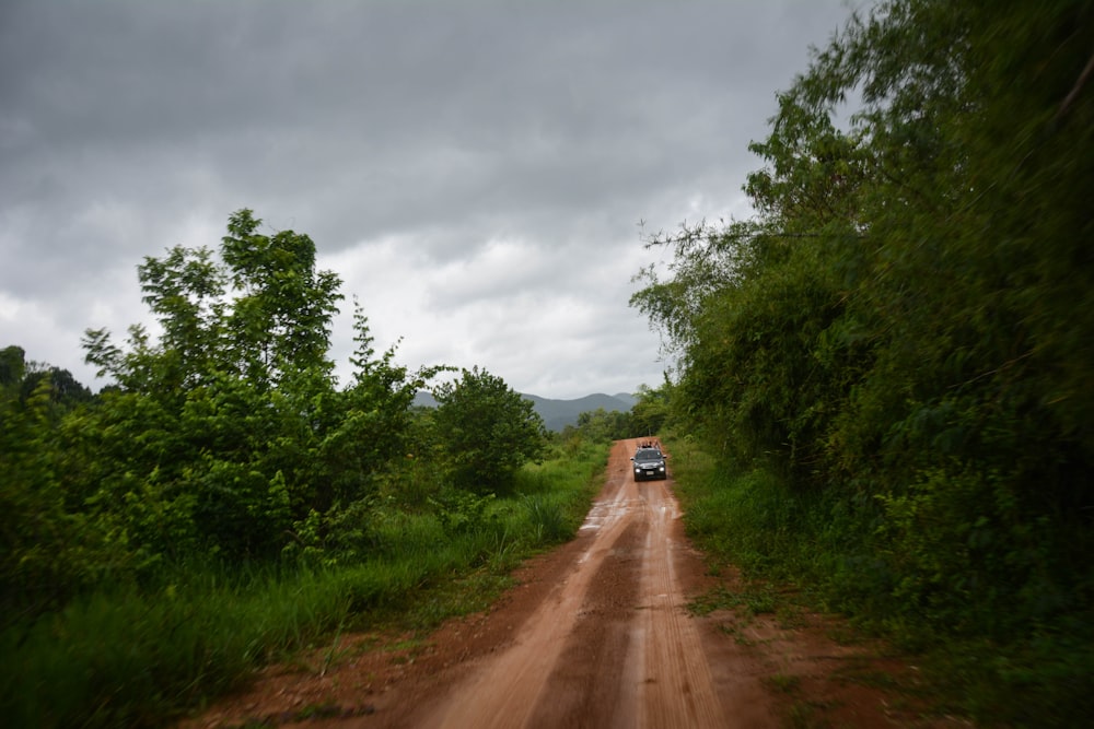 white car on road between green grass field during daytime