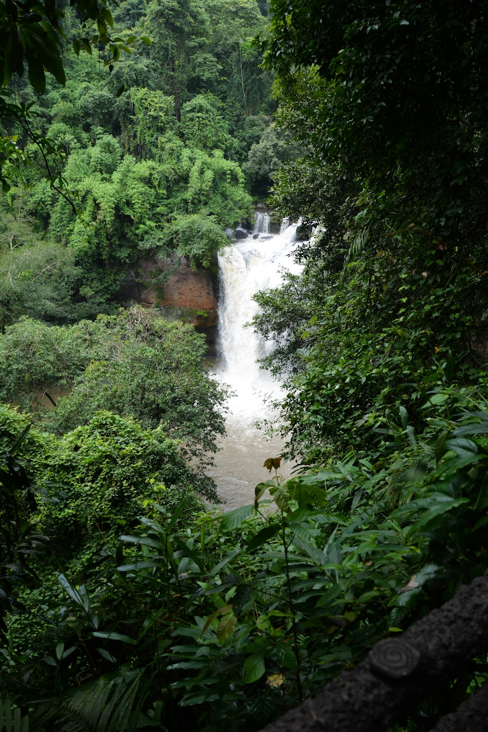 waterfalls in the middle of green trees