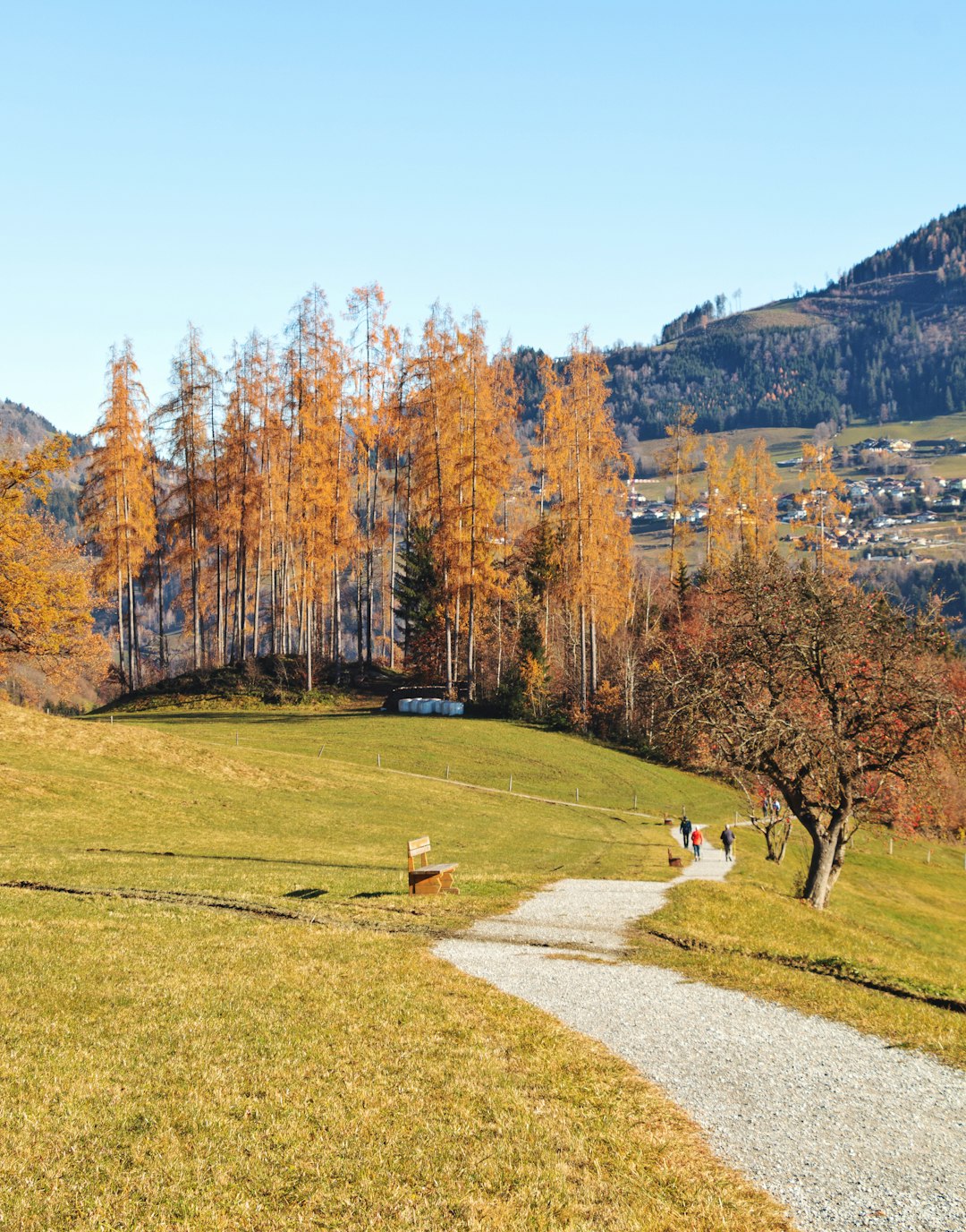 Highland photo spot Austria Hohe Wand