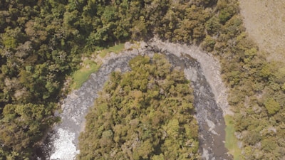 High-angle view of a winding river cutting through a forest.