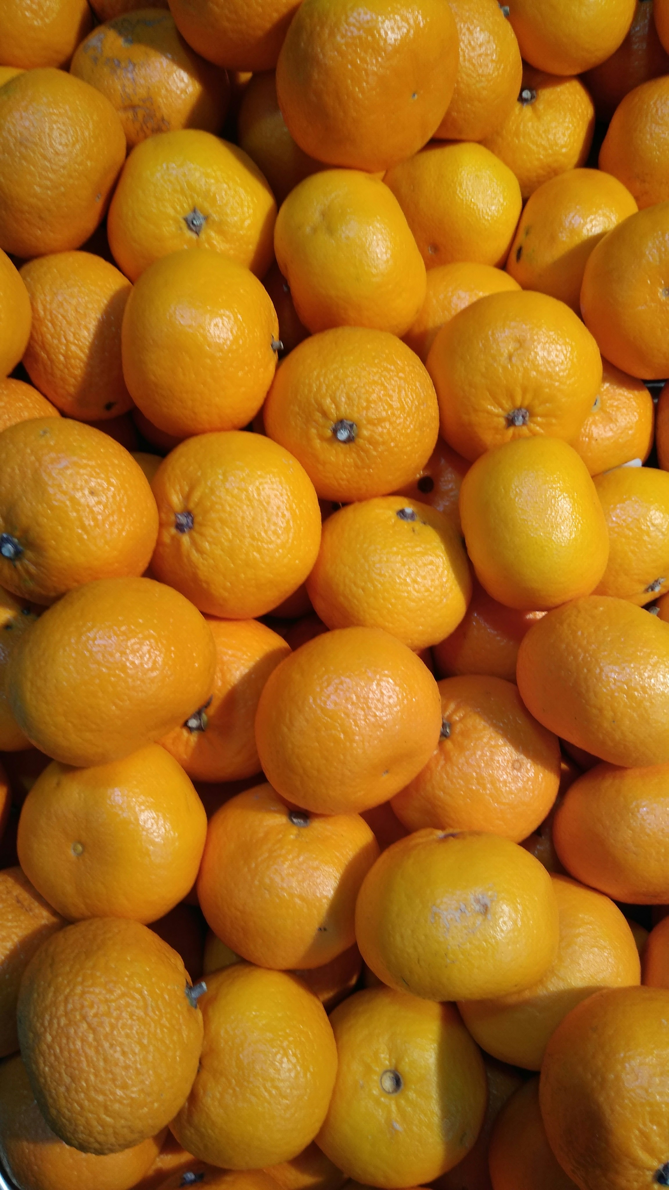 Photo by mhassouna931