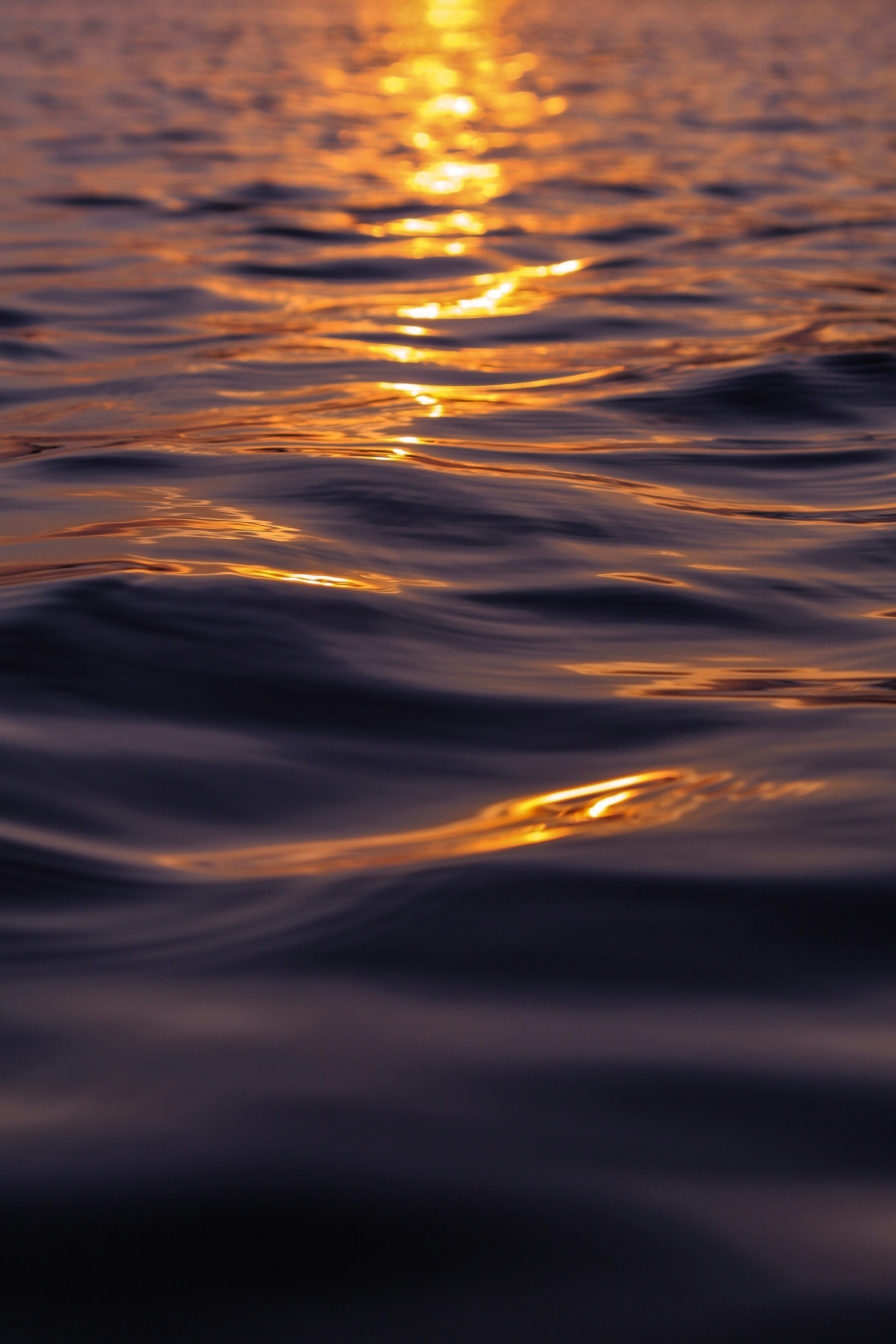 Photo by fromwhereiseethings