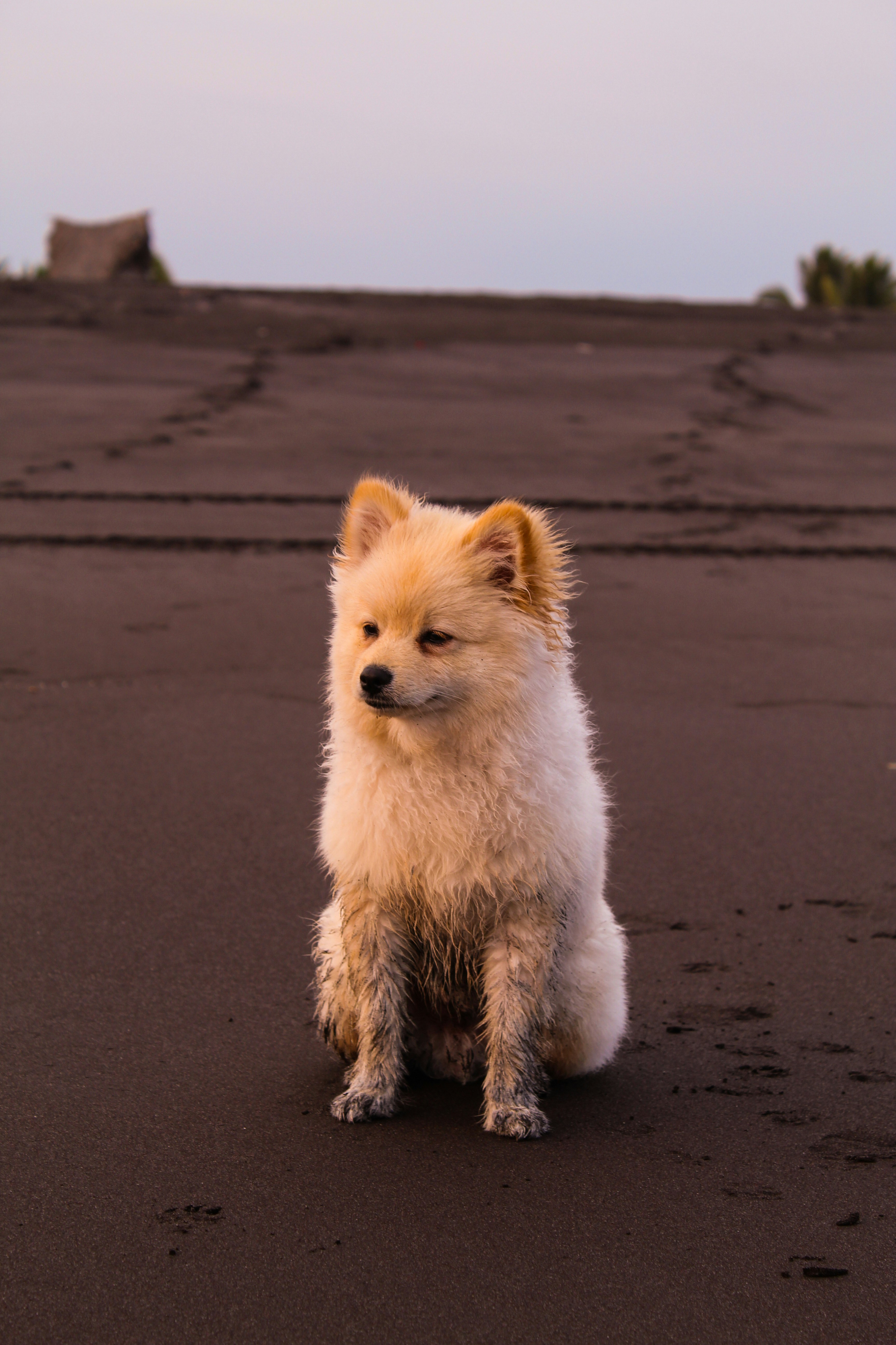 Photo by fromwhereiseethings