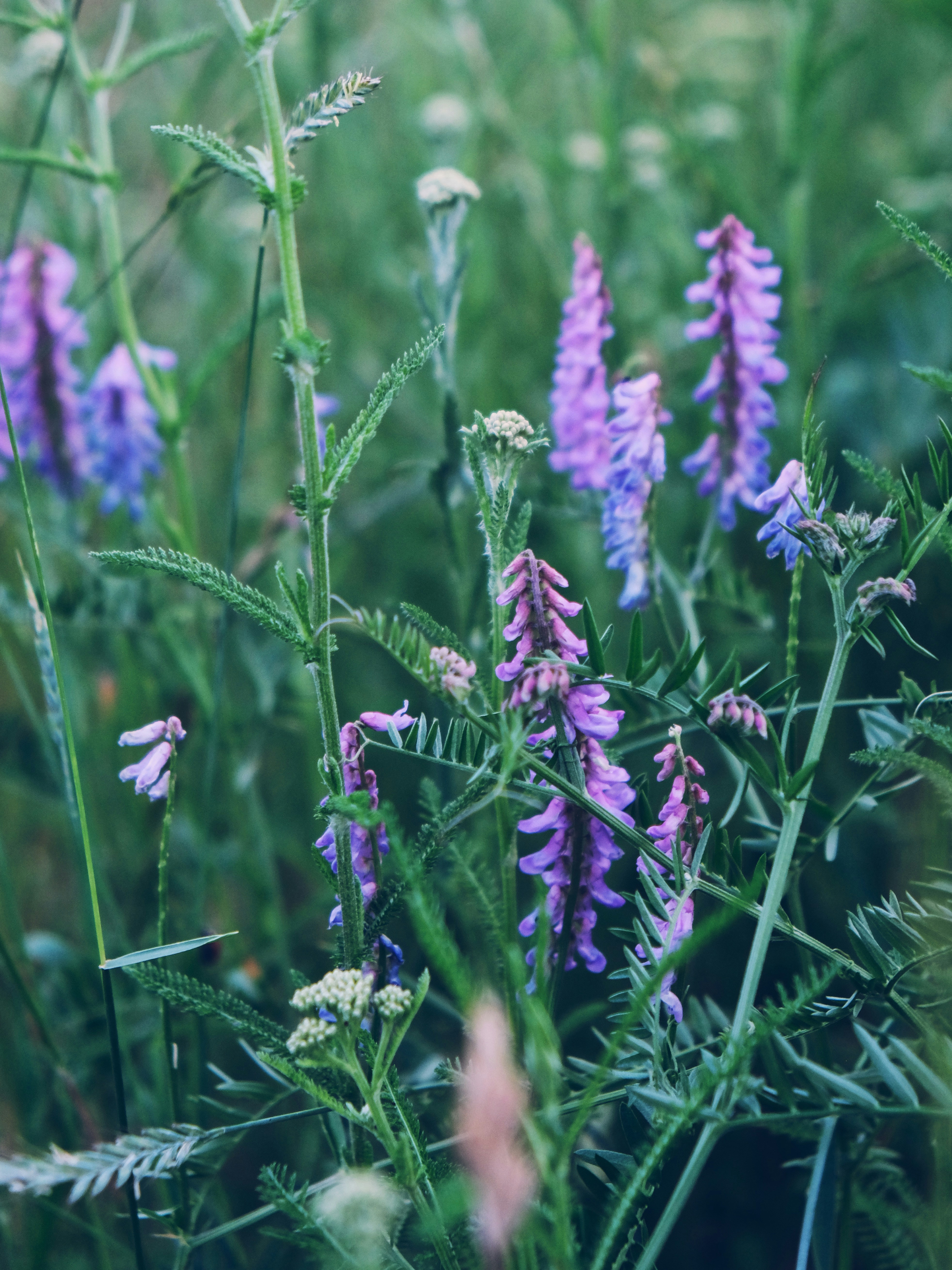 Photo by optovoloknope