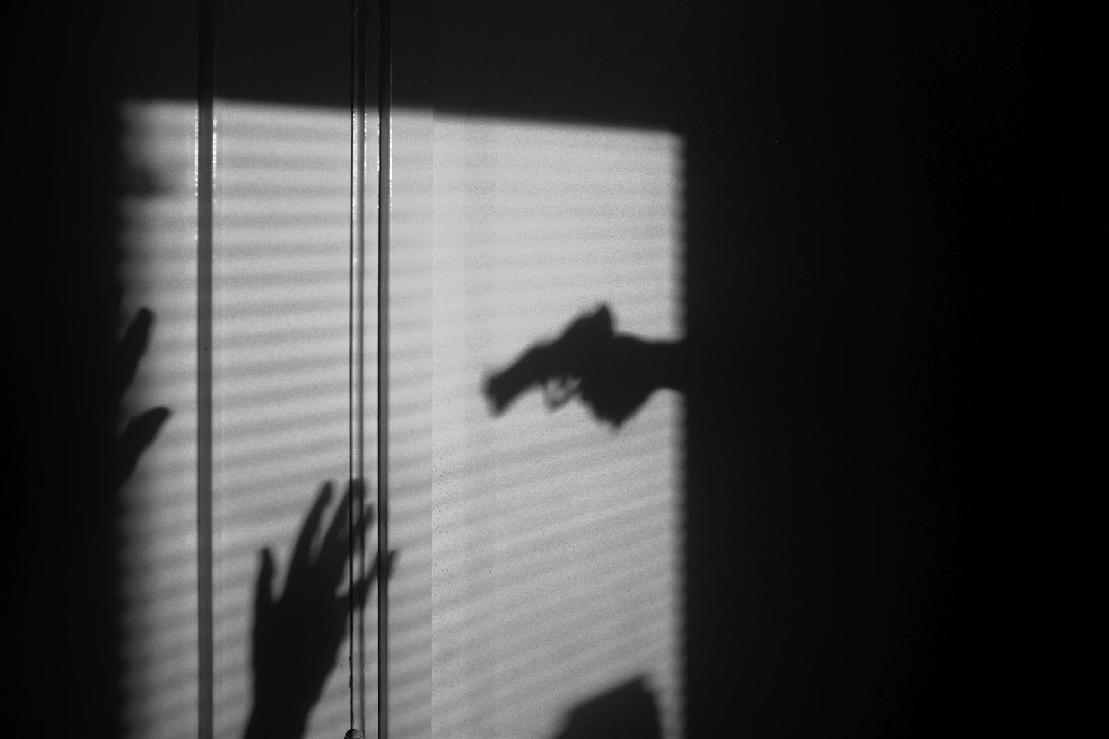 shadows falling through window blinds