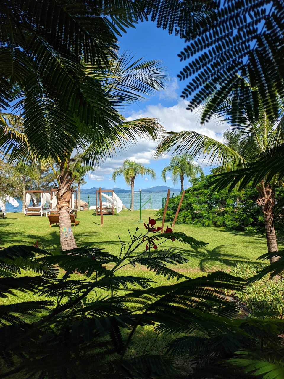 Serene tropical garden scene features lush palm trees, vibrant flowers, and two lounge chairs facing