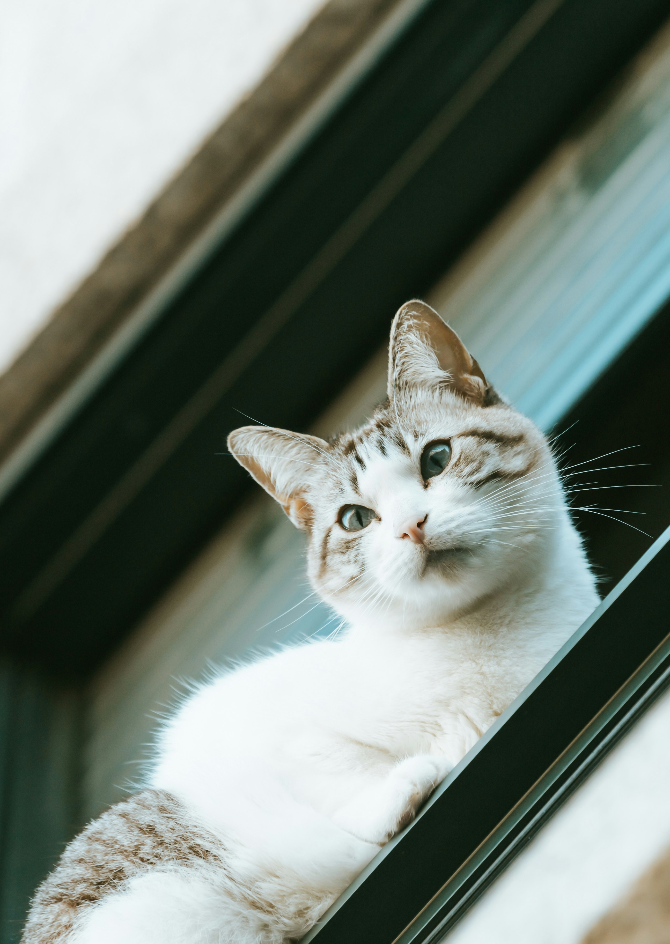 Photo by 3tnik
