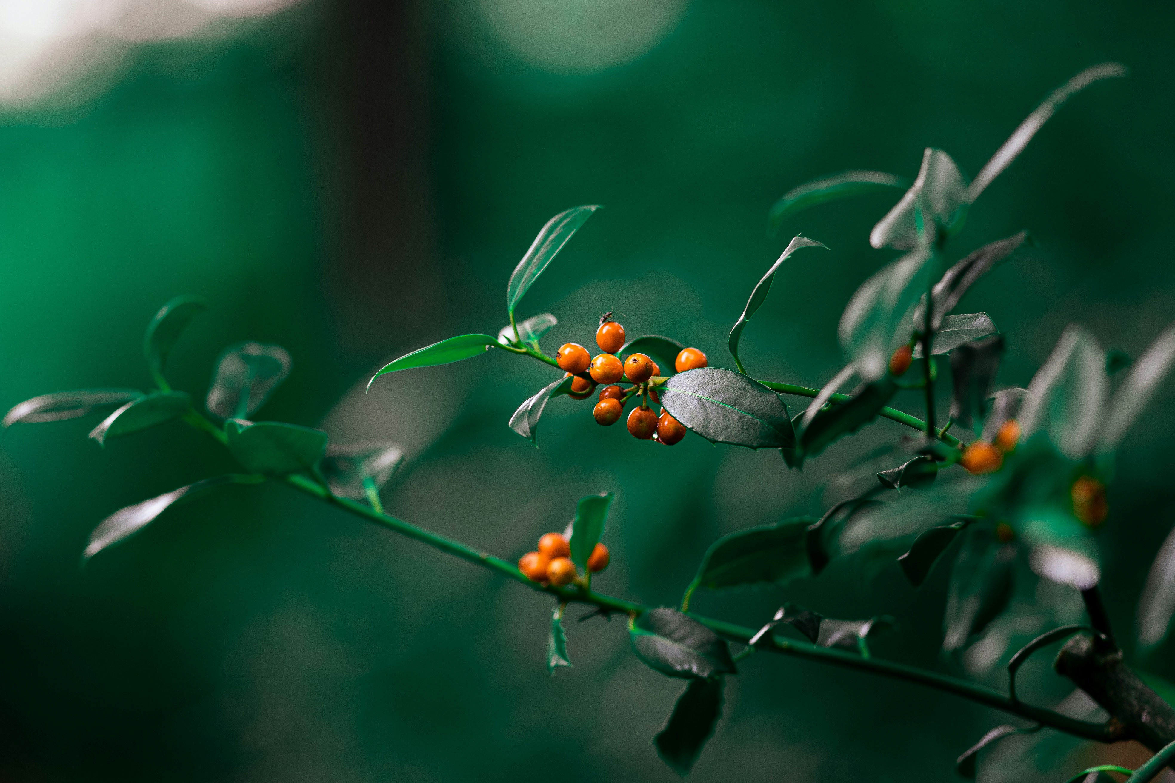 Photo by omarvellous14