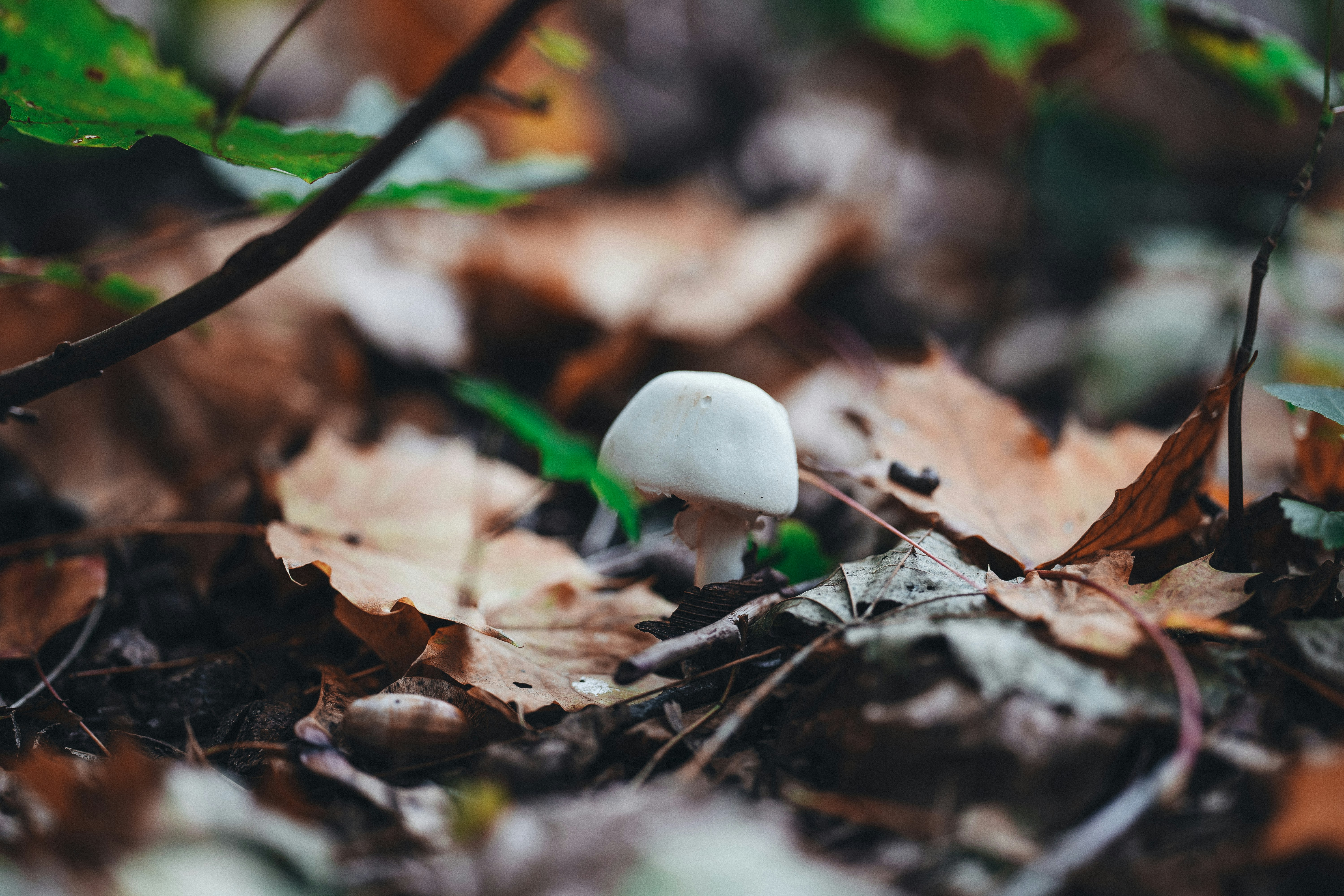 Photo by omarvellous14