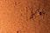 A textured surface of brown cork material, featuring an irregular, rough pattern with scattered dark indentations.