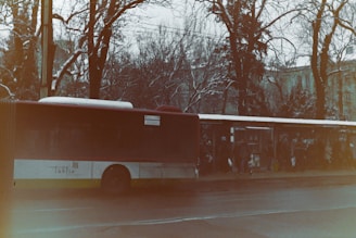 A municipal bus parked at a city stop ready for passengers.
