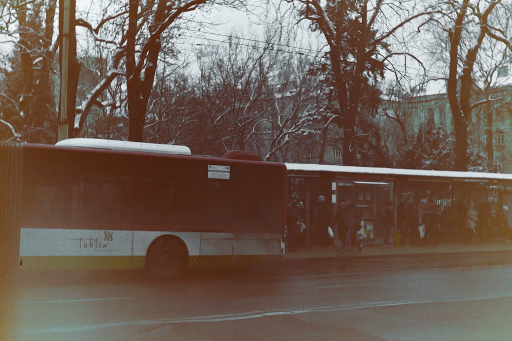 昼間、裸木の近くの道路を走る白と赤のバス