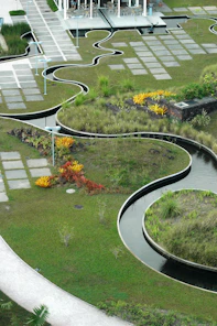 green grass and white concrete stairs