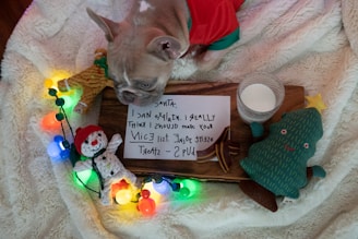 A small dog wearing festive clothing is surrounded by holiday decorations, including a knitted snowman, a plush Christmas tree, and colorful string lights. A wooden board holds a handwritten note next to a glass of milk, placed on a soft, textured blanket.