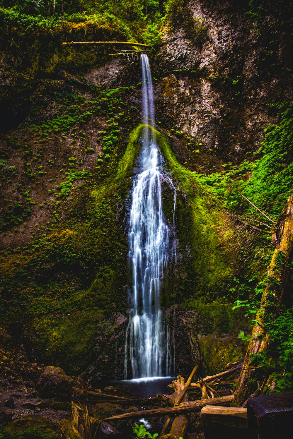 waterfalls in the middle of the forest