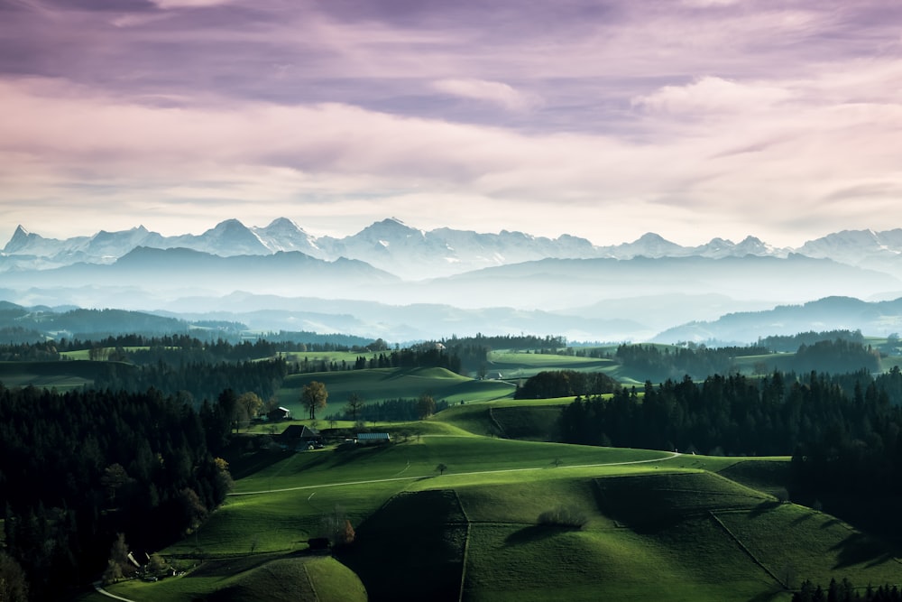 green grass field near green trees and mountains during daytime