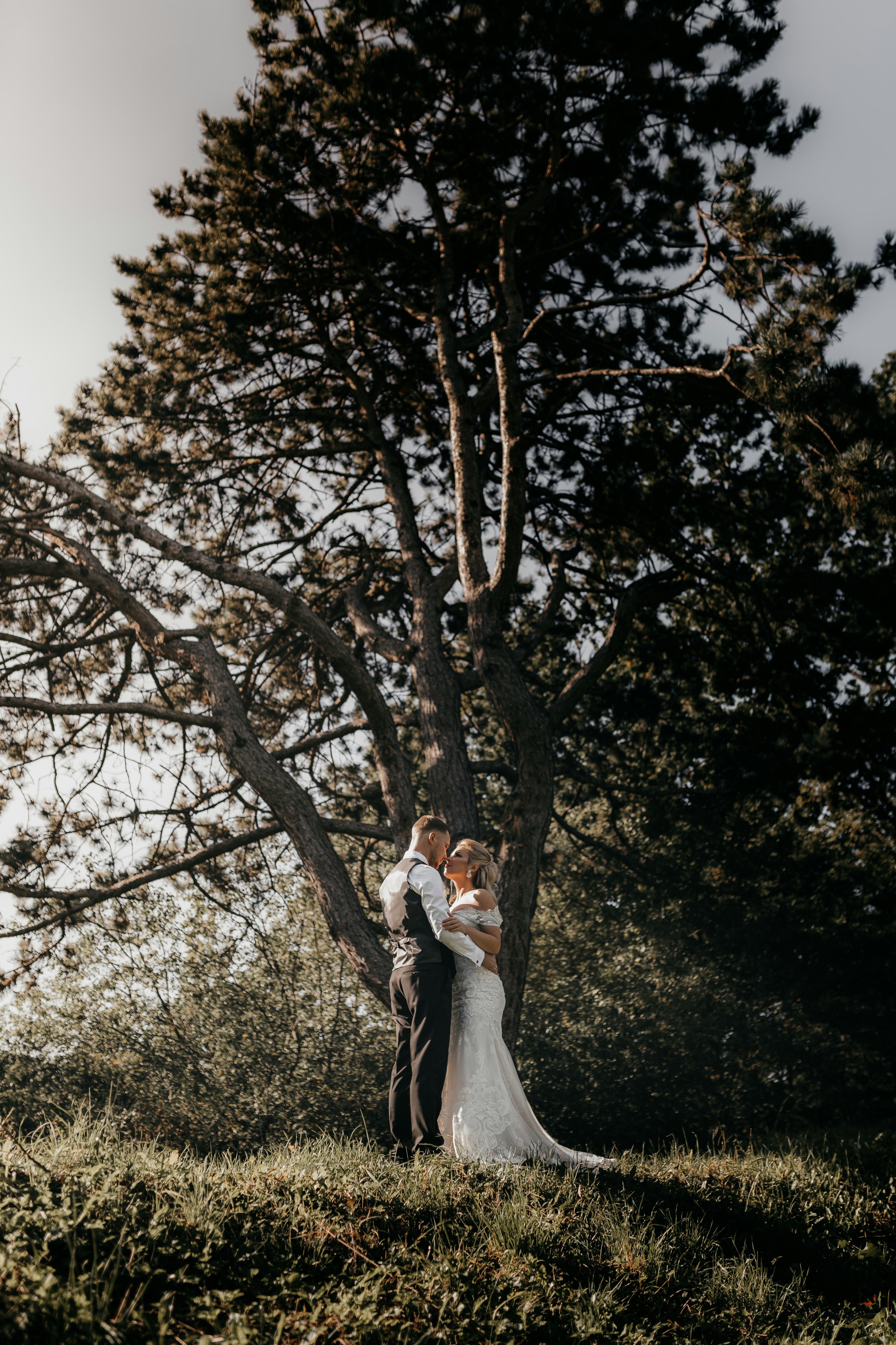 couple kissing under brown tree during daytime