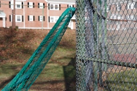 A green net is partially draped over the top of a chain-link fence. In the background, there are several brick buildings with windows, and the ground is covered with grass and autumn leaves.