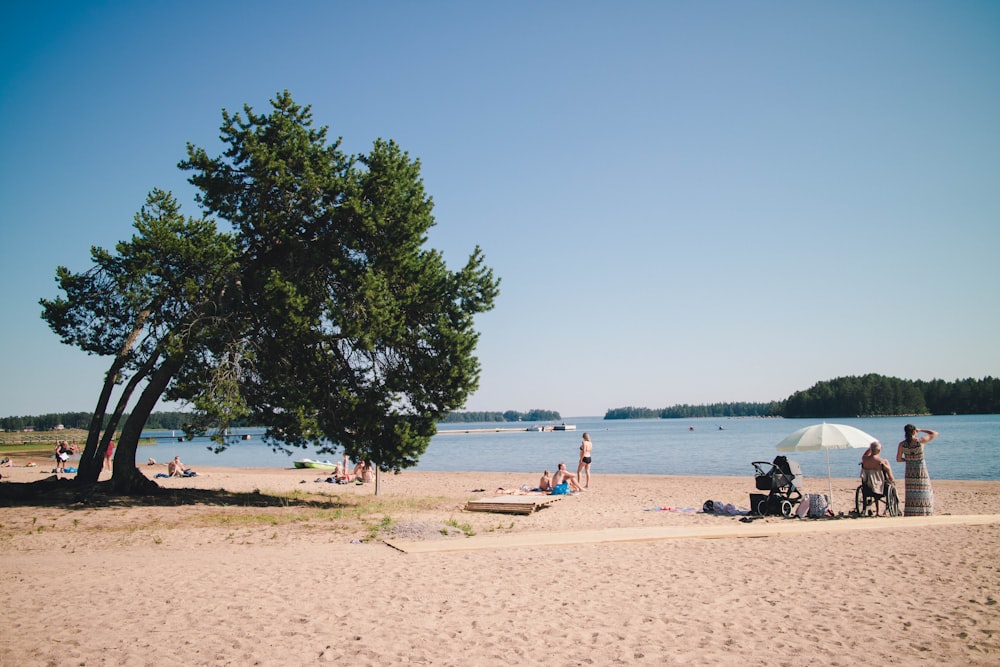 personnes sur la plage pendant la journée