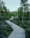 A winding wooden pathway leads through lush, green vegetation, surrounded by tall trees. A person wearing a red jacket and carrying a backpack walks along the path, adding a sense of exploration and adventure. The scene conveys a tranquil and serene natural environment.