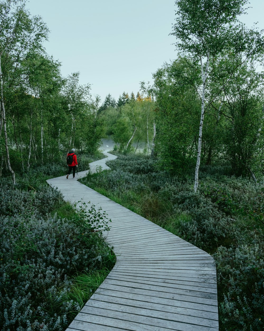 person in red jacket walking on wooden pathway