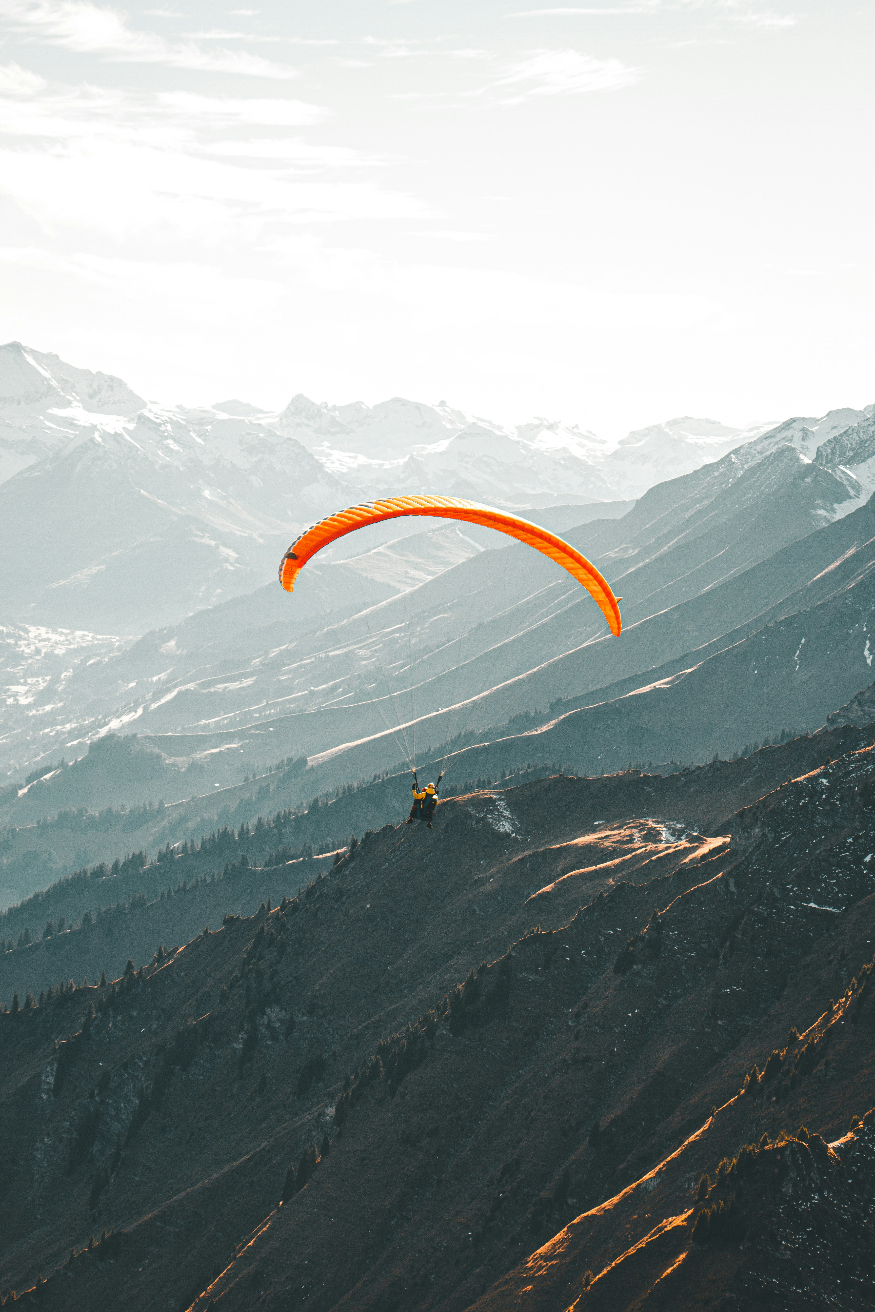 Photo by leandra_niederhauser