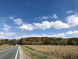 A scenic view of a rural road stretching through cornfields at sunrise, highlighting the journey from farm to delivery