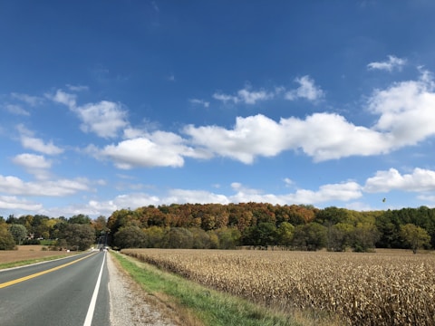 A scenic view of a rural road stretching through cornfields at sunrise, highlighting the journey from farm to delivery