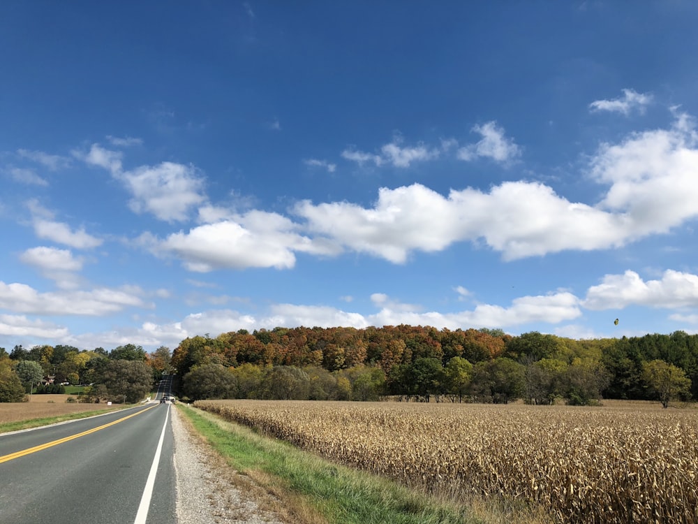 gray asphalt road between brown grass field under blue and white sunny cloudy sky during daytime