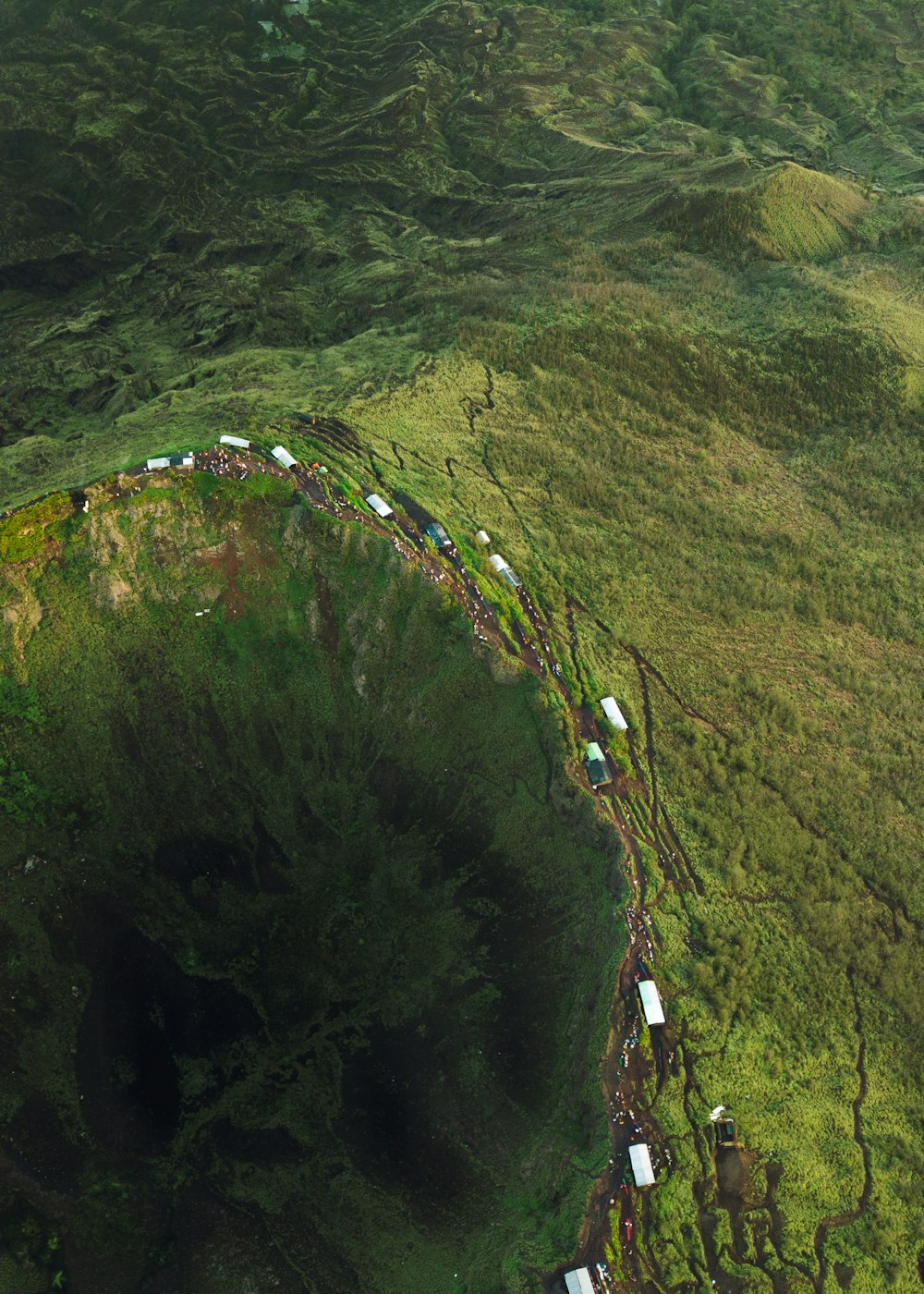 aerial view of green grass field