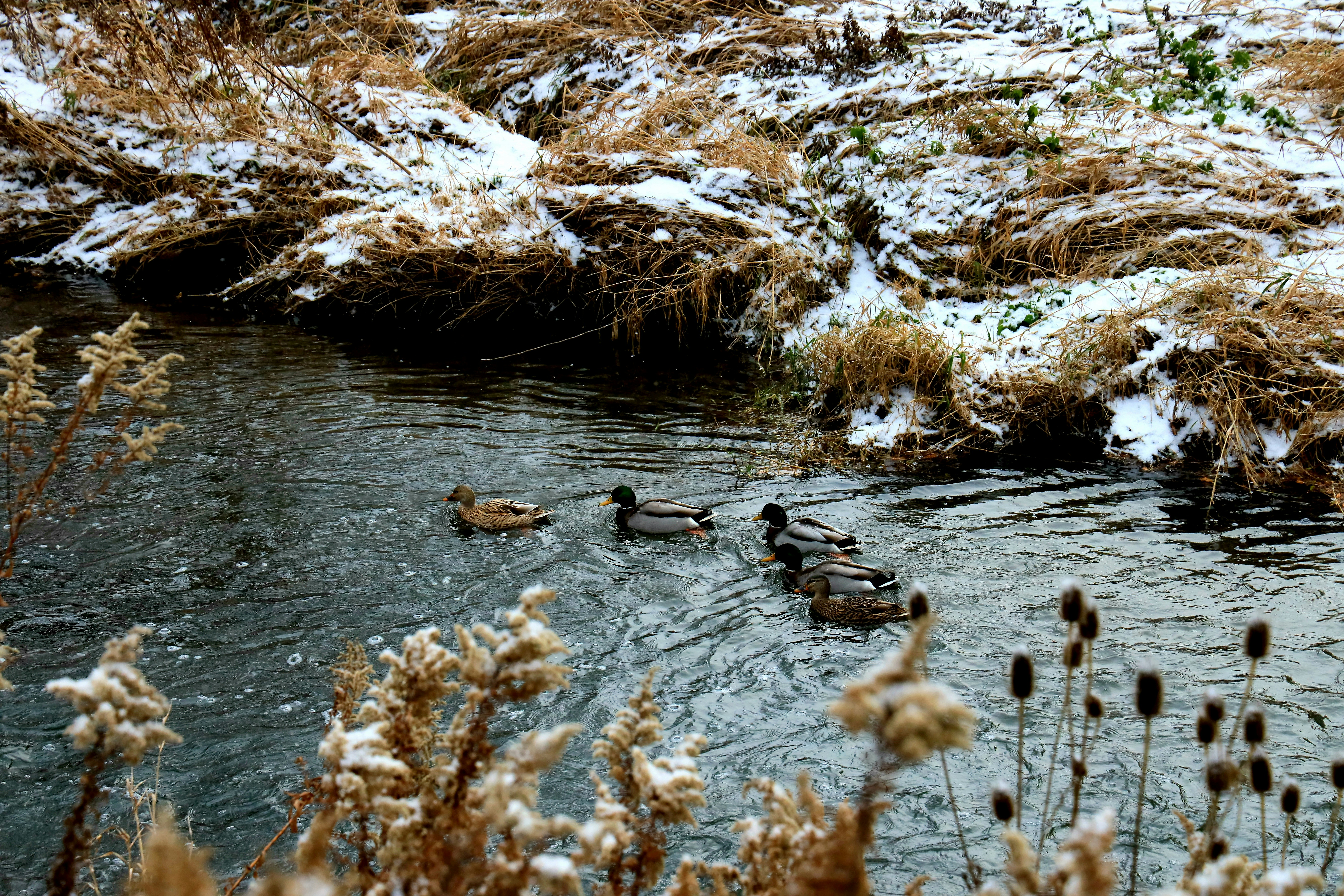 Photo by richardworks