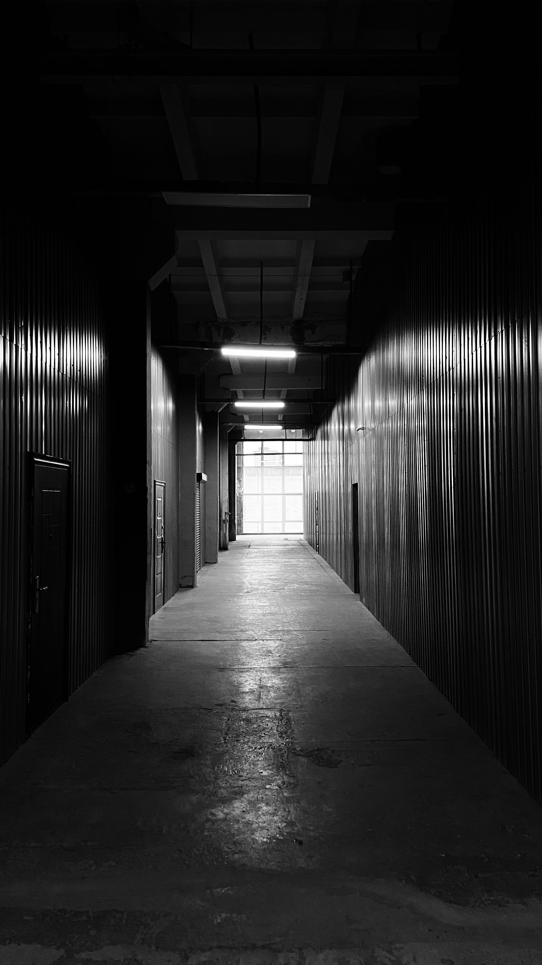 photo-1605817852118-946460bfda0d?ixid=M3