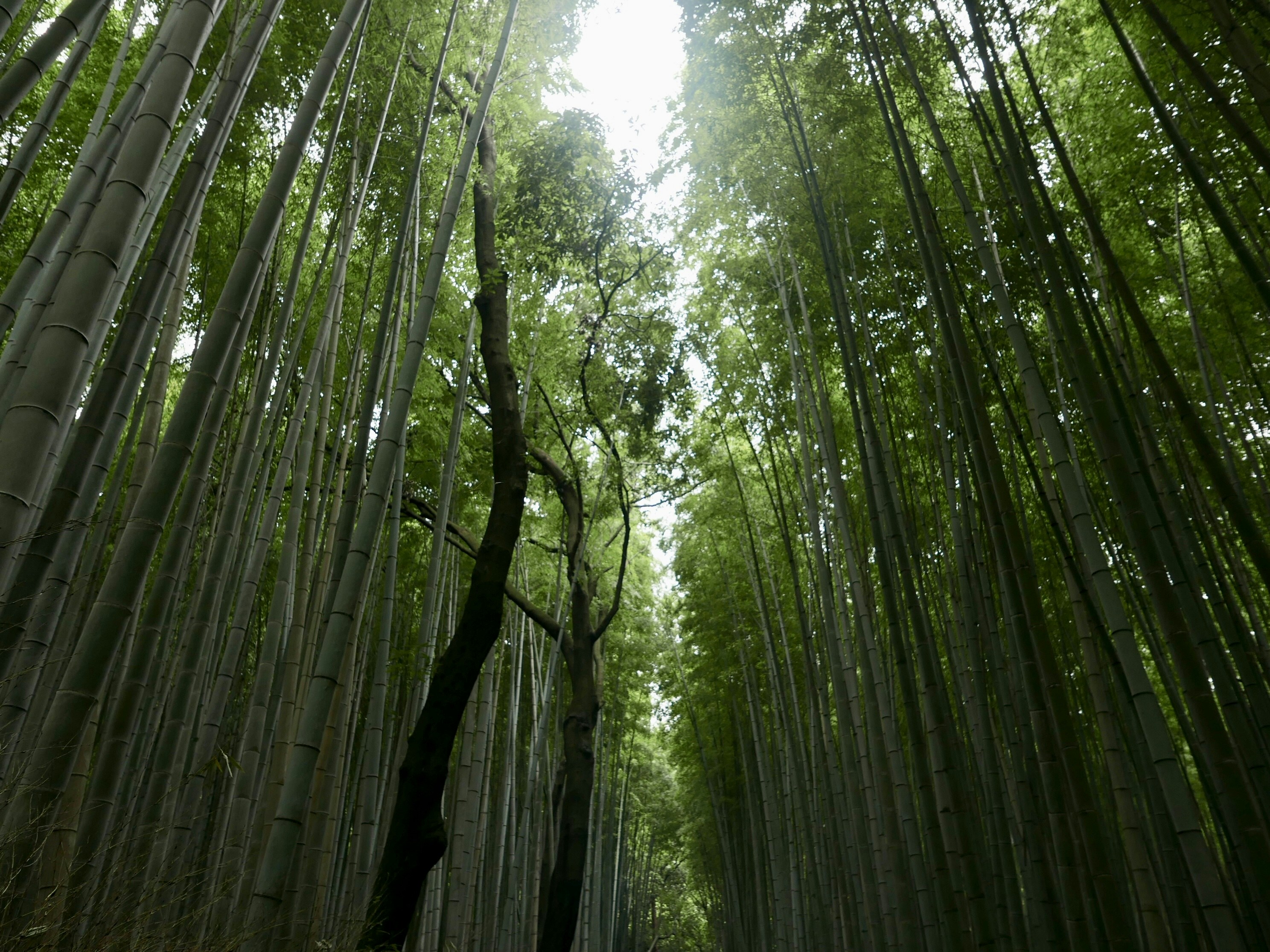 Photo by luigiabottalico