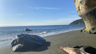 A serene beach scene with smooth, dark sand leading up to gentle waves of a blue ocean. Large rocks and driftwood are scattered along the shoreline, and there is a towering, rugged cliff on the right. In the distance, a forested coastline is visible under a clear blue sky.