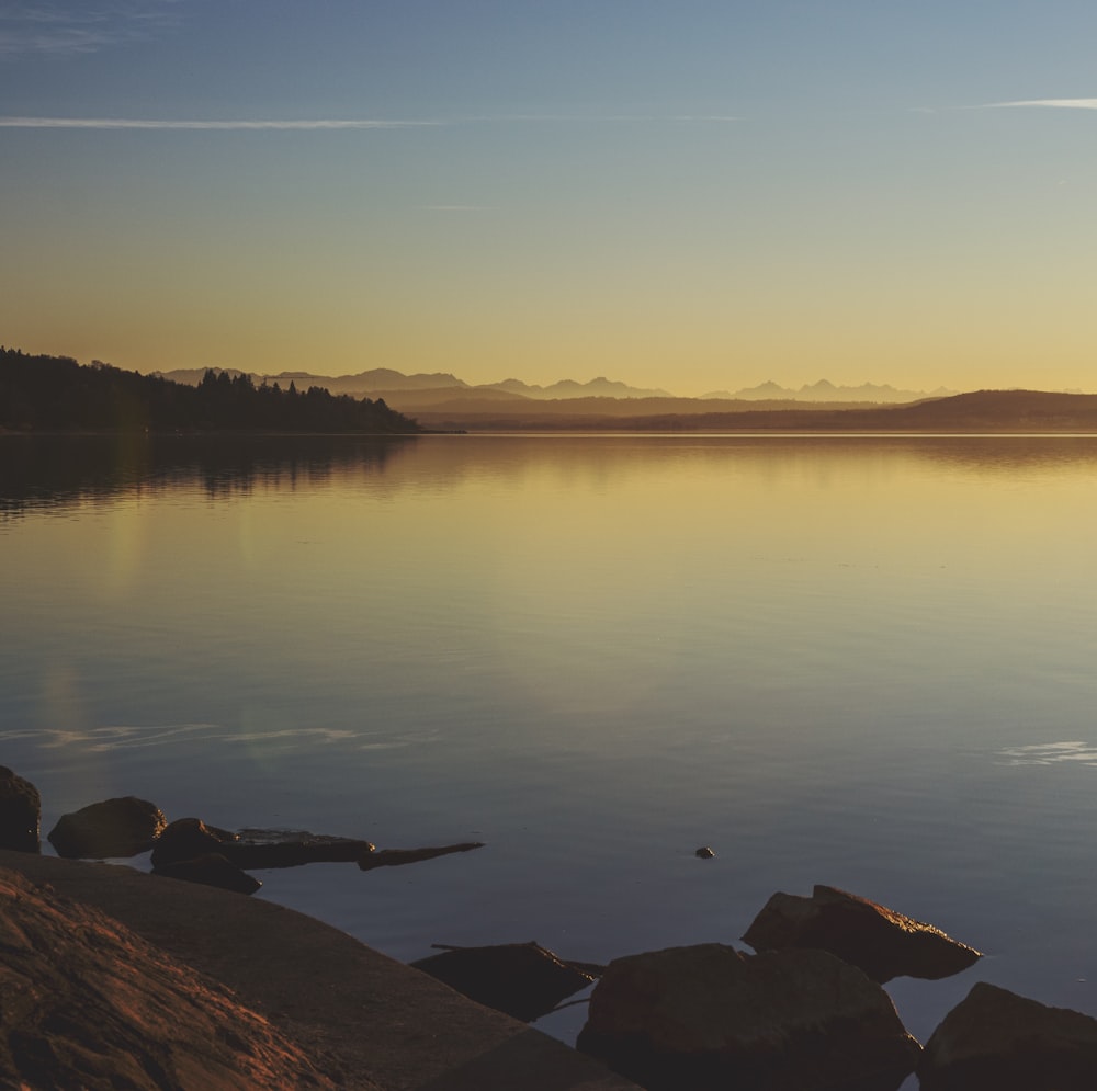 calm water under blue sky during daytime