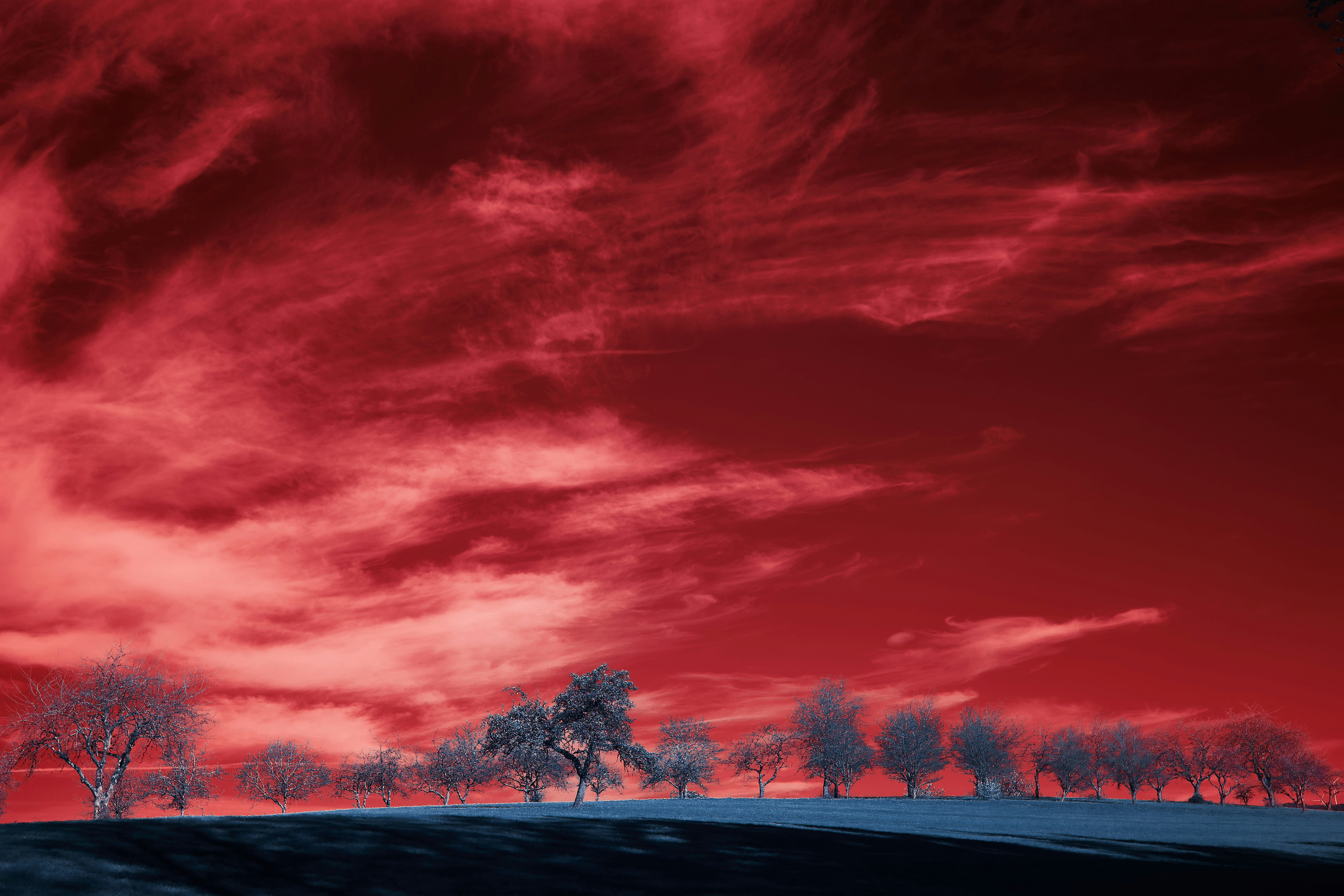 Photo by wolfgang_hasselmann